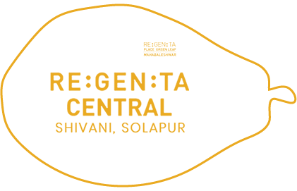 Regenta Solapur - Top 3 social media agency In pune client